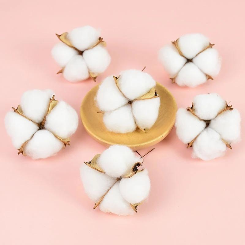 10Pcs White Cotton Florist Sup - Florist Wreath Supply 리뷰 및 가격