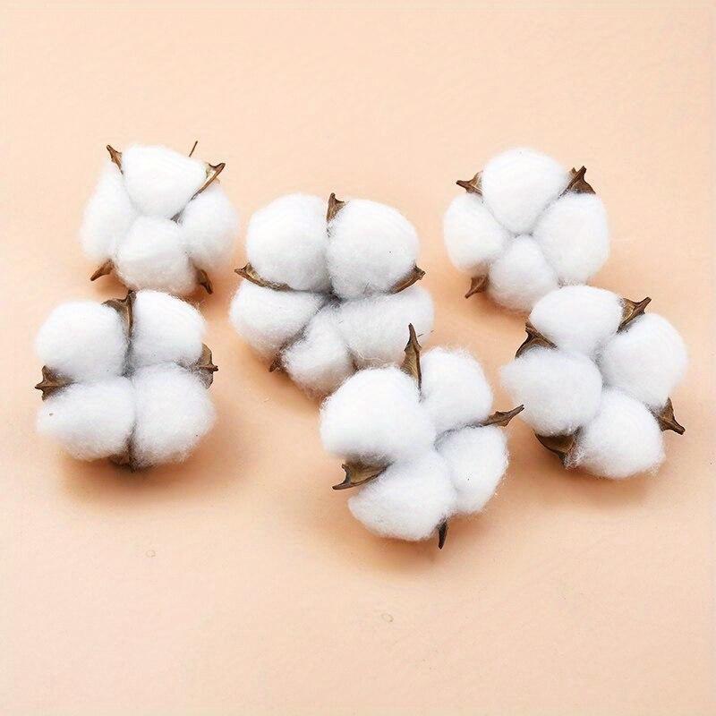 10Pcs White Cotton Florist Sup - Florist Wreath Supply 리뷰 및 가격
