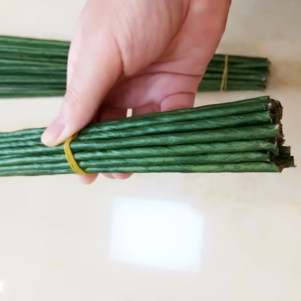 1mm 2/3/4/5mm 40/60cm Dark Gre - Wire Stem Florist 리뷰 및 가격